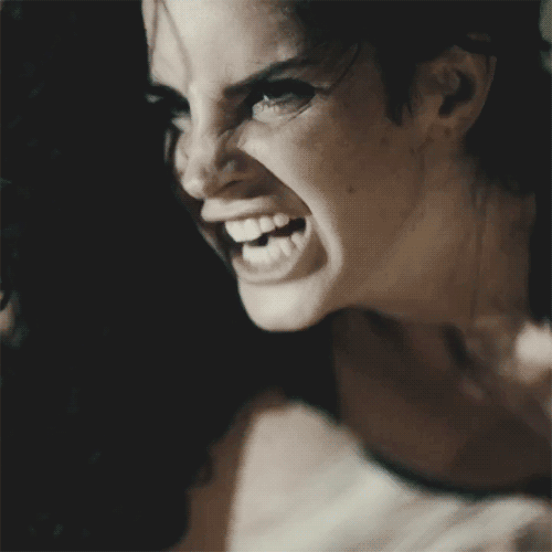 146964.gif