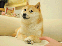 1742323.gif