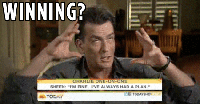 1773131.gif