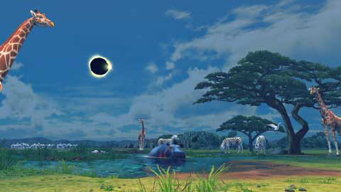 17_stage27.jpg