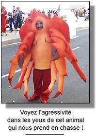 200px-Crabe.jpg