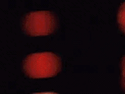 324DFCAA-039B-4558-88CC-6202E3257588.gif