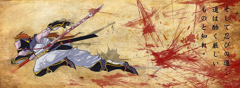 830px-Ninja_Gaiden_by_Pertheseus.jpg