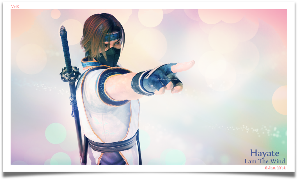___hayate___c2____by_veix-d7107hq.png