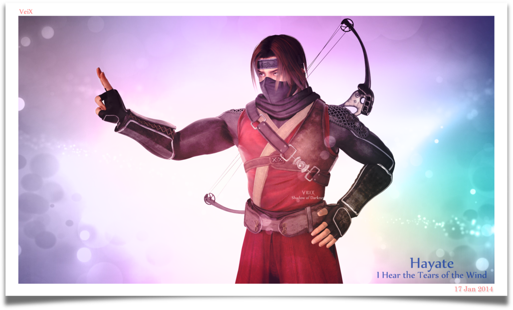 ___hayate___c3____by_veix-d72kbg9.png