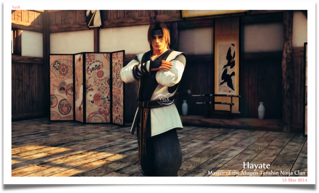___hayate___c4____by_veix-d7a6tav.png