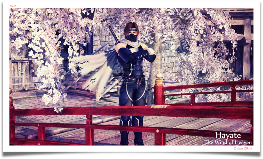 ___hayate___c6____by_veix-d70hla5.png