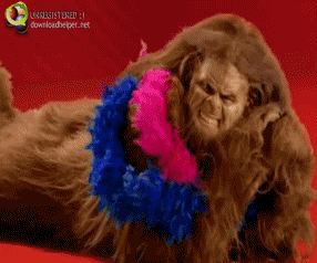 Apples to Apples_ Glamorous Bigfoot.gif