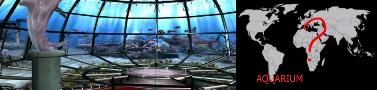 Aquarium DOA2.jpg