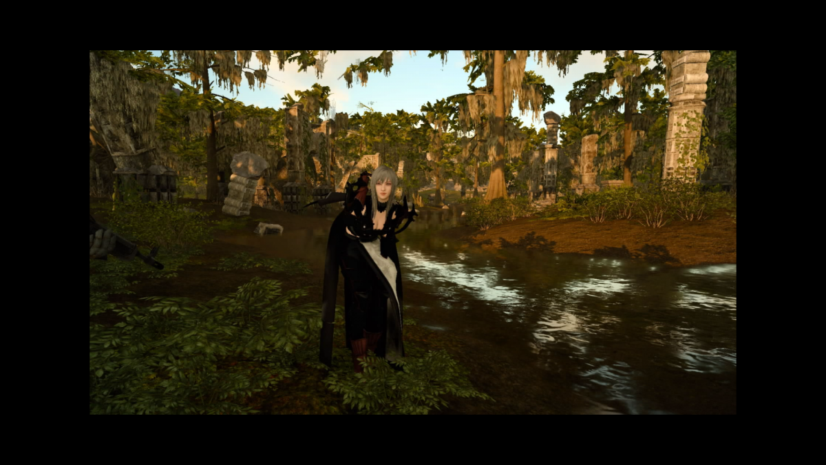 Aranea _3 _3.png