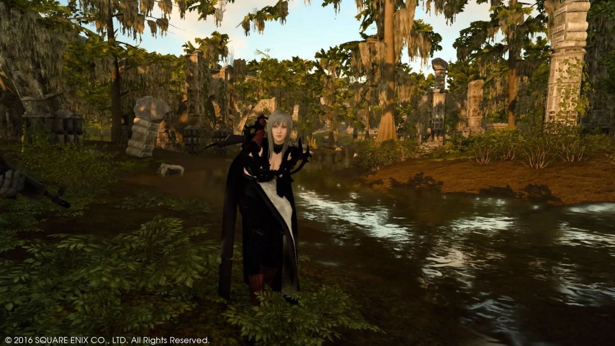 Aranea _3.jpeg