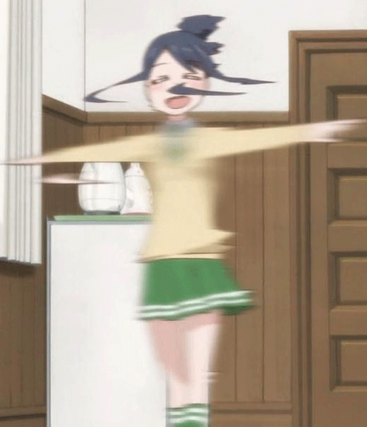 Ayane in a Nutshell.gif