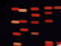 B4A8F31D-FE5E-4D27-BAE9-DC07B5830651.gif