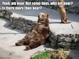 Bear.jpg