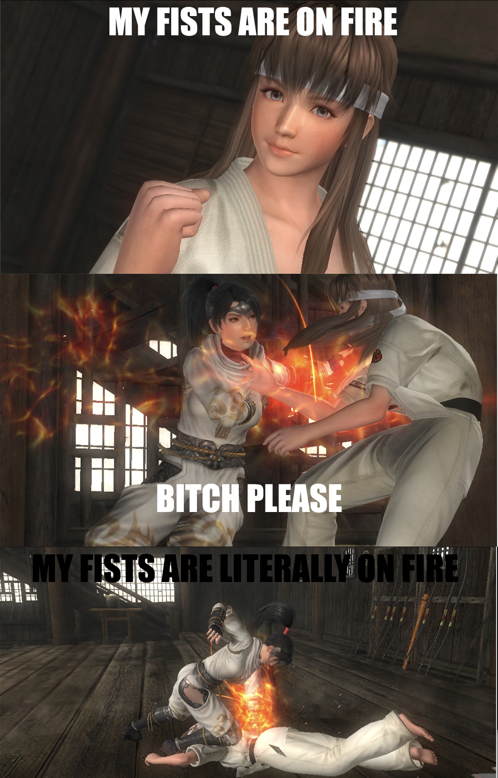Bitch Please DOA Meme.jpg
