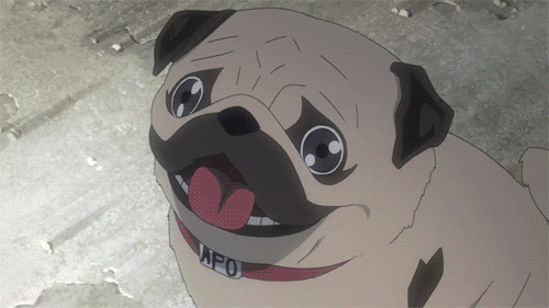 Dawg.gif