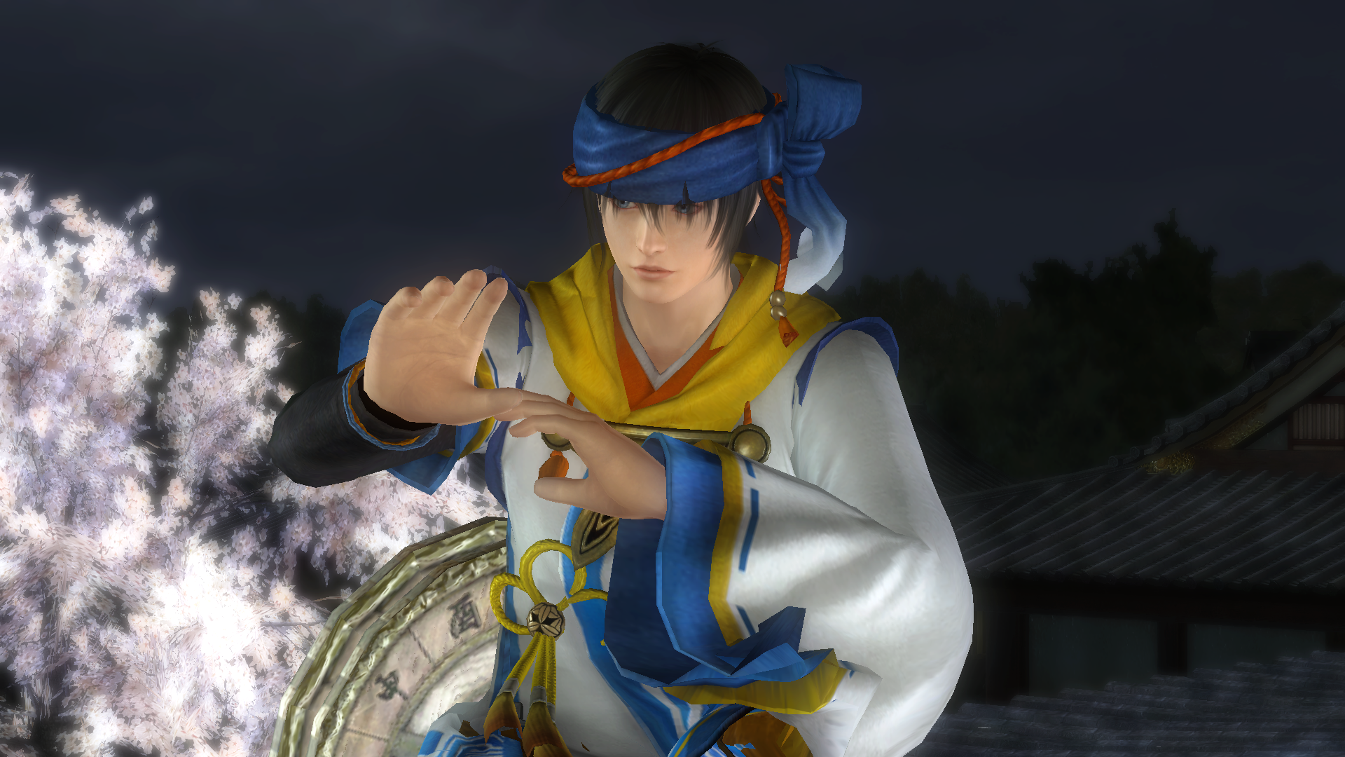 DEAD OR ALIVE 5 Last Round Core Fighters (7).png