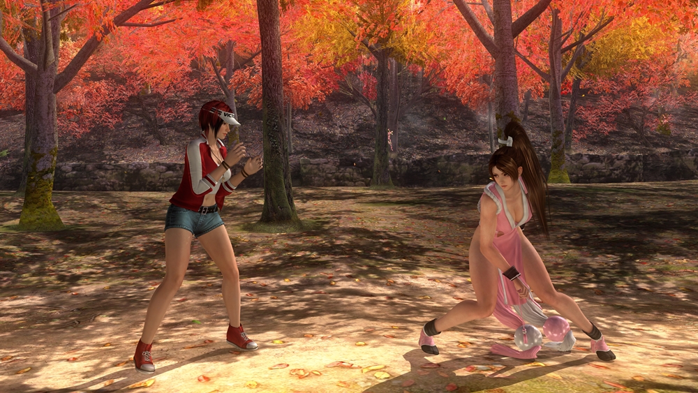 Dead or Alive 5 Last Round Screenshot 2021.07.26 - 15.22.04.84.jpg