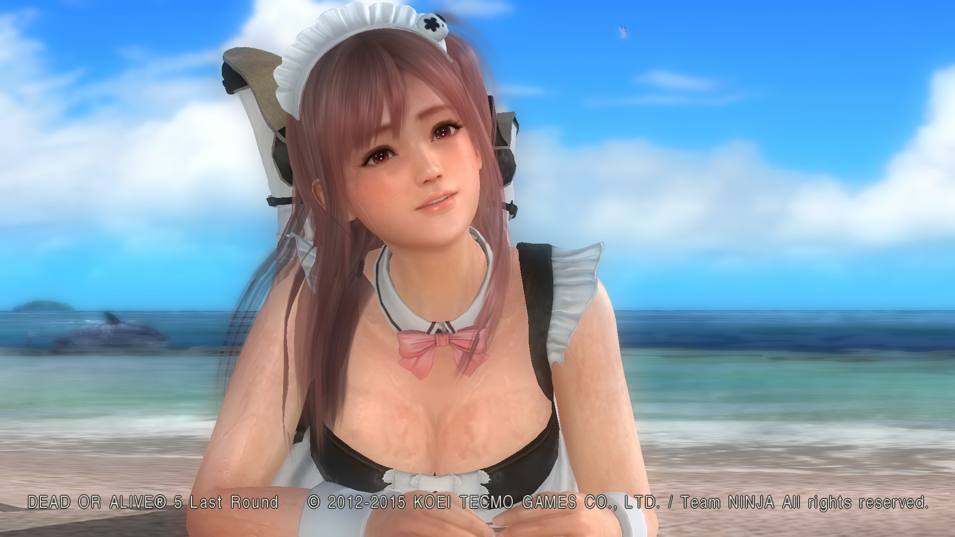 DEAD OR ALIVE 5 Last Round_.jpg