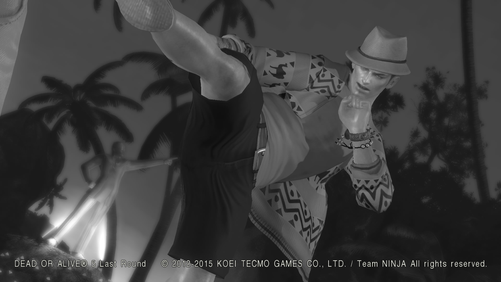 DEAD OR ALIVE 5 Last Round_.jpg