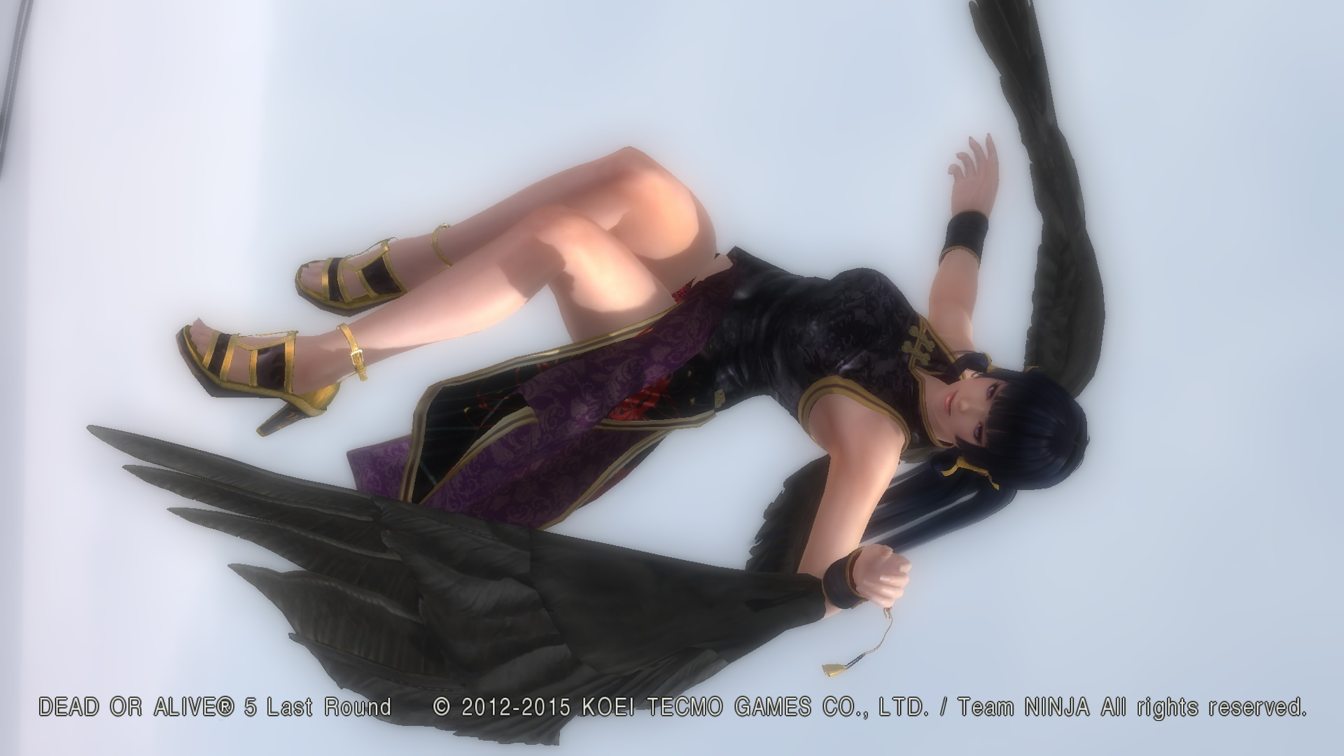 DEAD OR ALIVE 5 Last Round_.jpg
