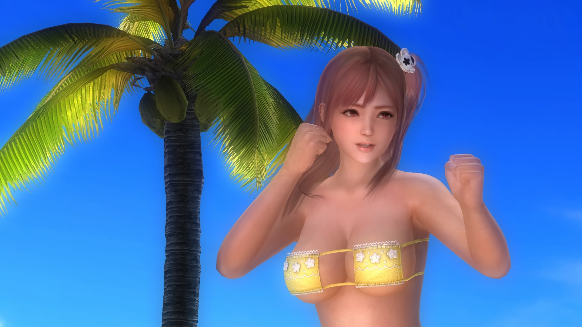 DEAD OR ALIVE 5 Last Round_20150217235150.jpg