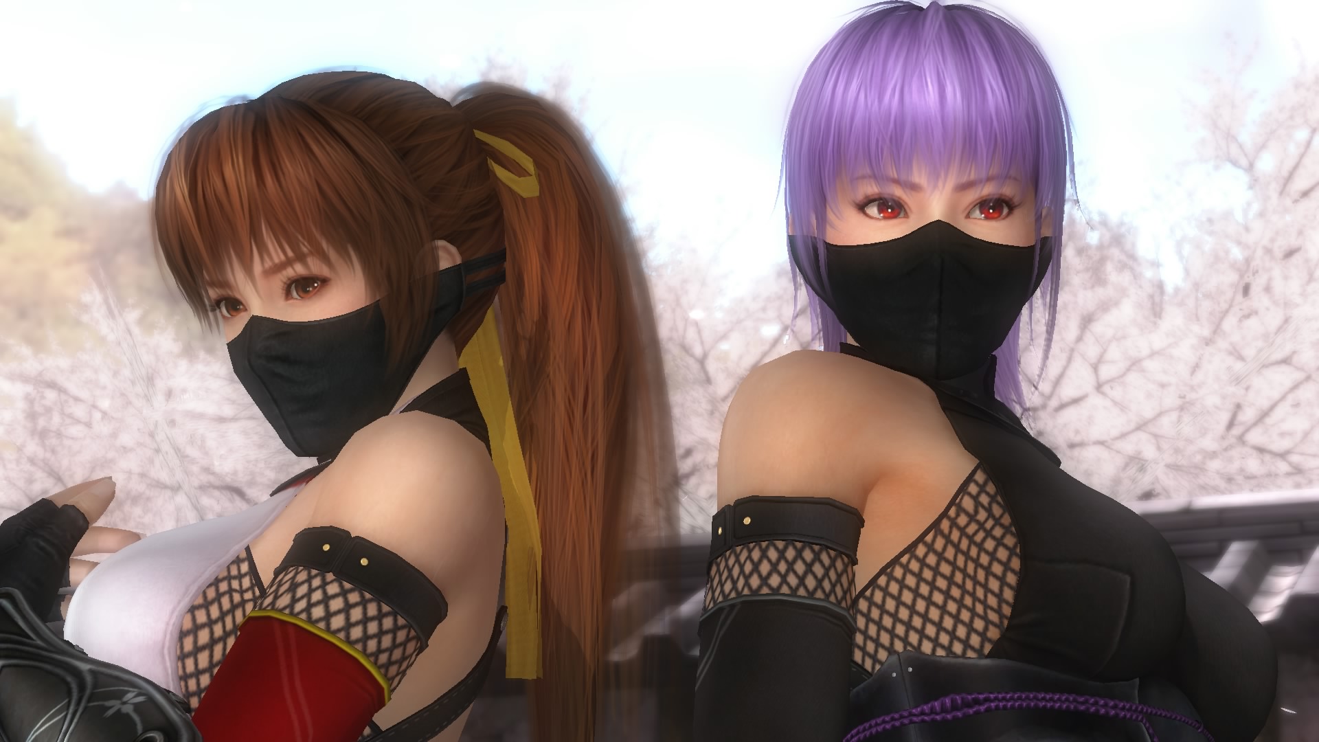 DEAD OR ALIVE 5 Last Round_20150219221142.jpg