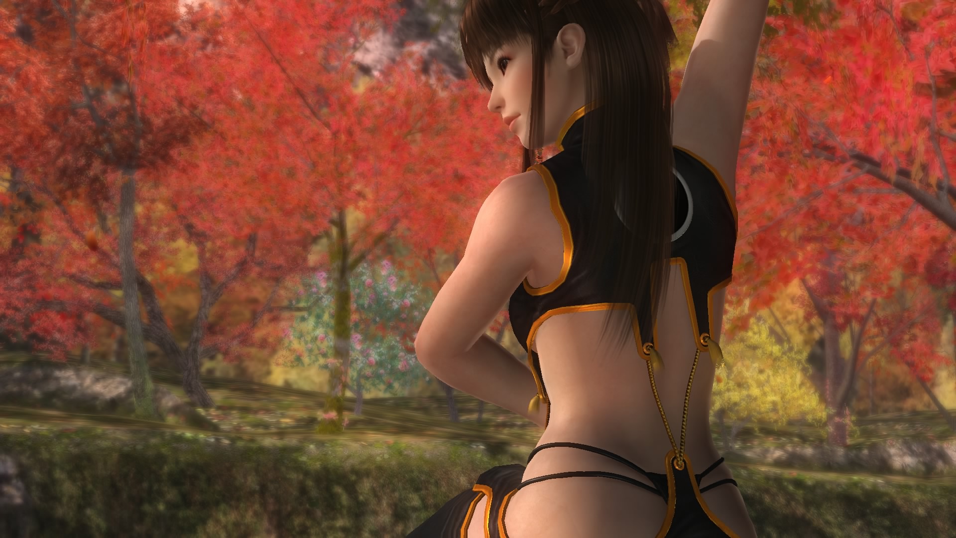 DEAD OR ALIVE 5 Last Round_20150219230631.jpg