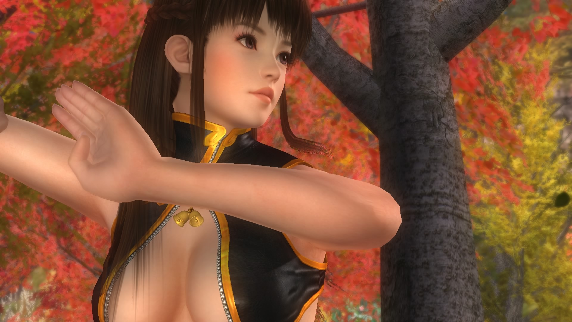 DEAD OR ALIVE 5 Last Round_20150219231028.jpg
