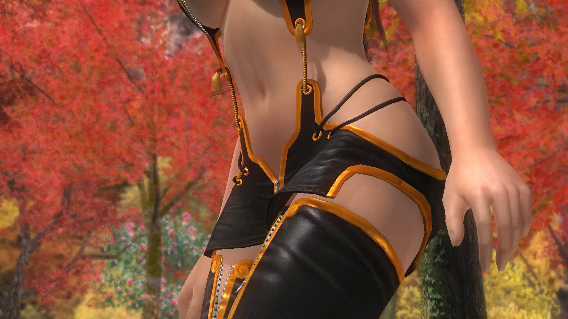 DEAD OR ALIVE 5 Last Round_20150219231224.jpg