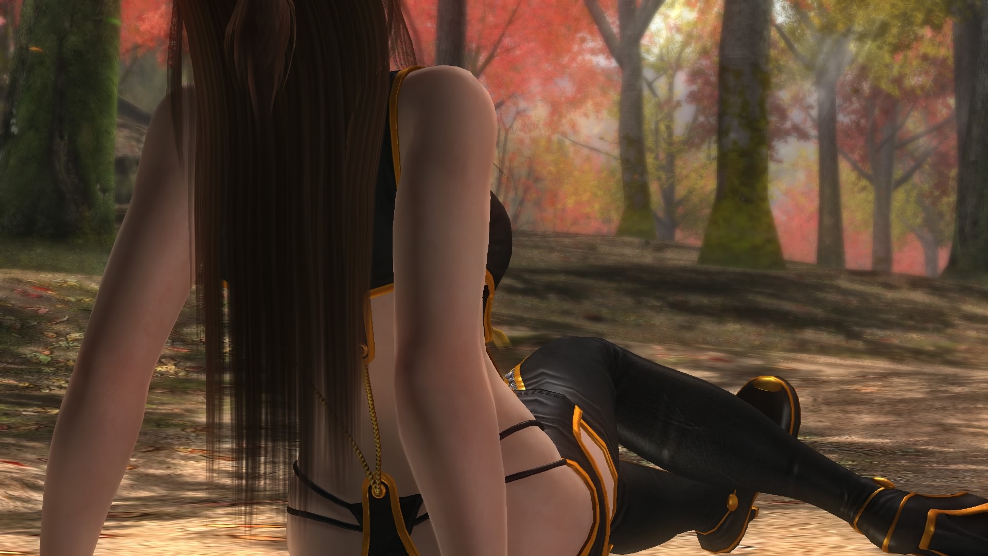 DEAD OR ALIVE 5 Last Round_20150219231258.jpg