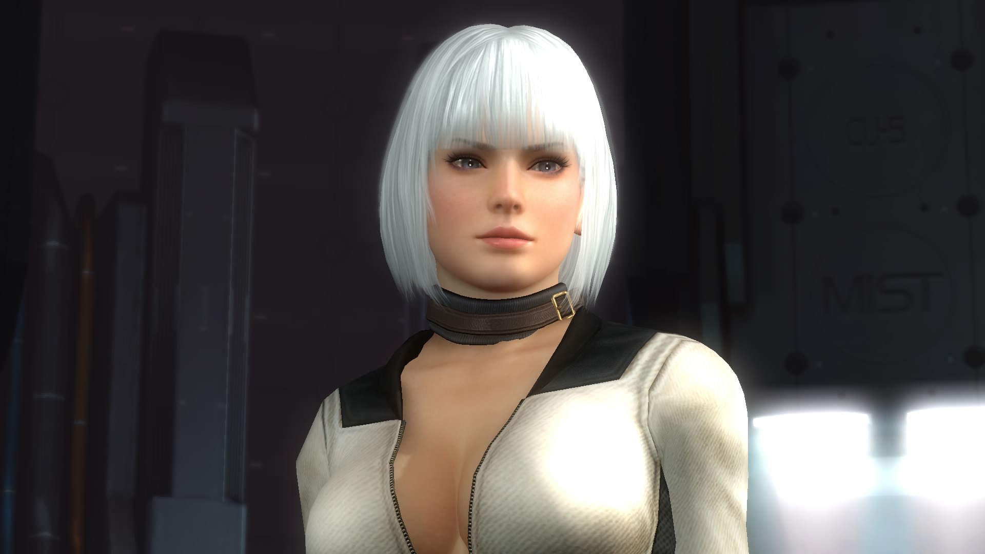 DEAD OR ALIVE 5 Last Round_20150220025536.jpg