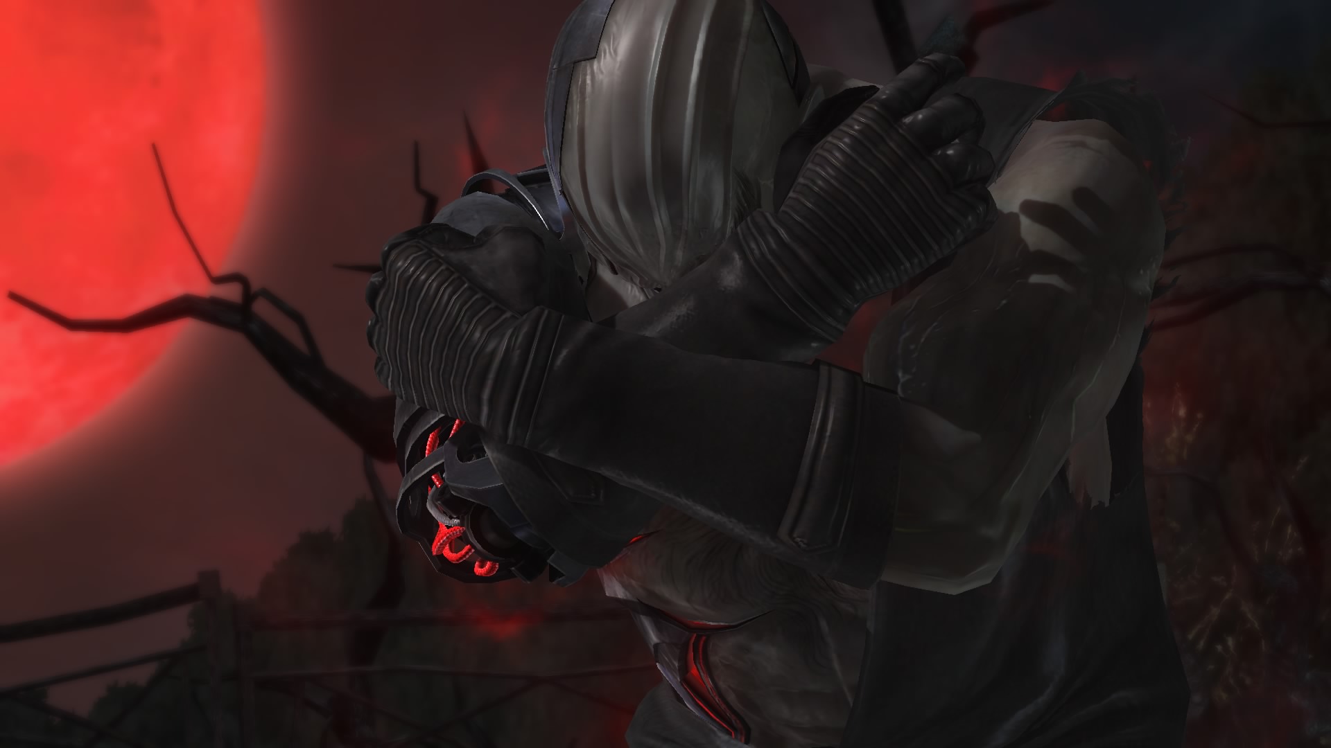 DEAD OR ALIVE 5 Last Round_20150222223808.jpg