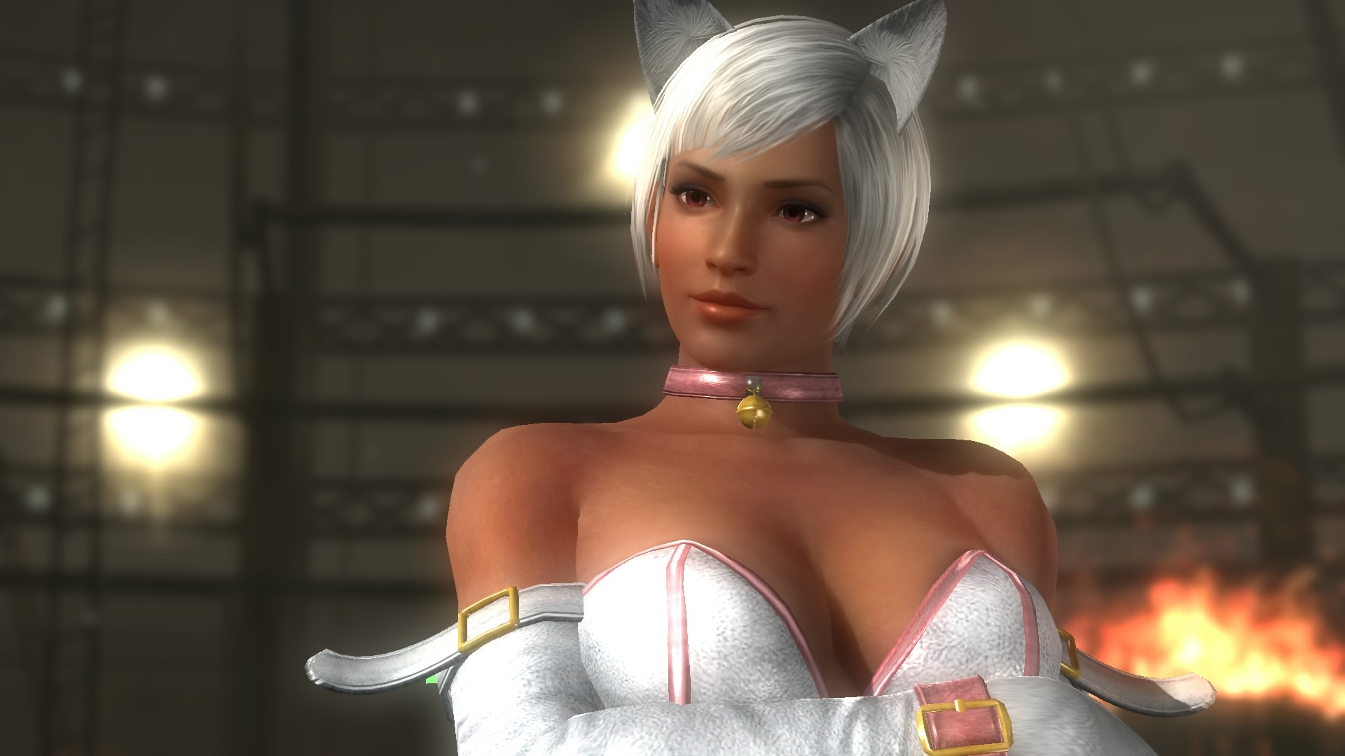 DEAD OR ALIVE 5 Last Round_20150222225437.jpg