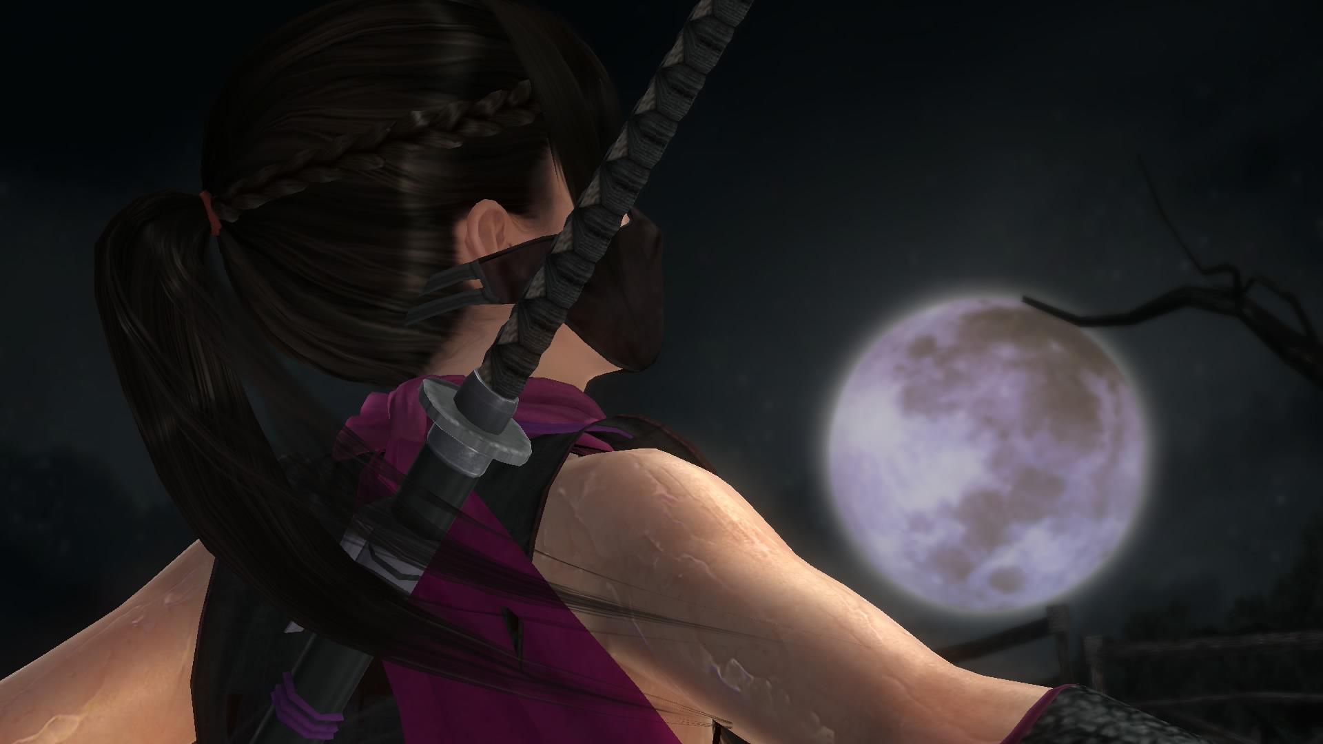 DEAD OR ALIVE 5 Last Round_20150224162417.jpg