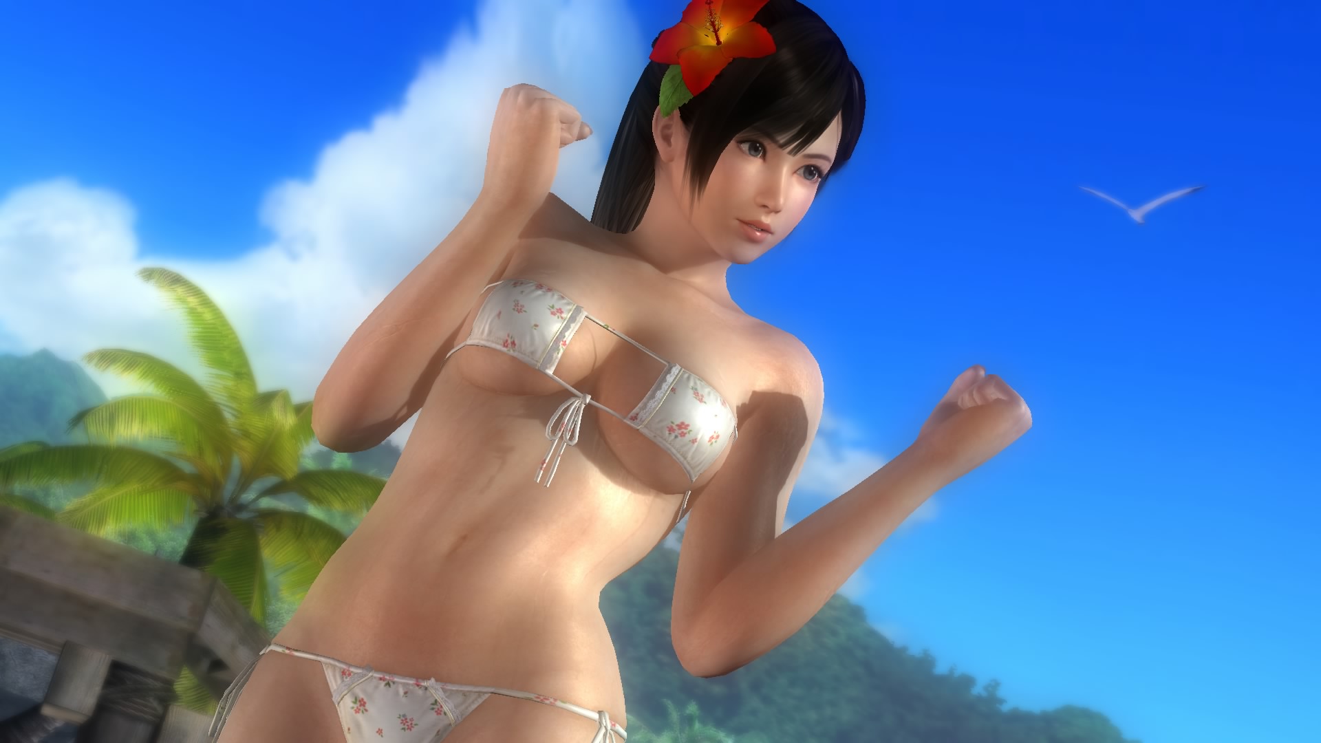 DEAD OR ALIVE 5 Last Round_20150227083044.jpg