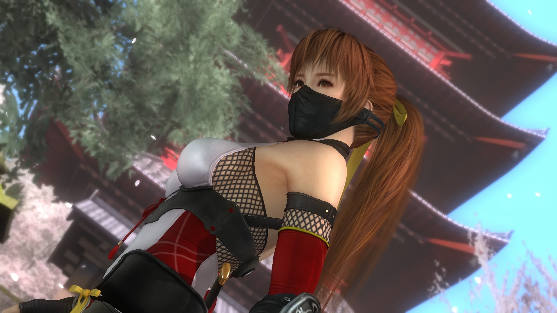 DEAD OR ALIVE 5 Last Round_20150227111119.jpg