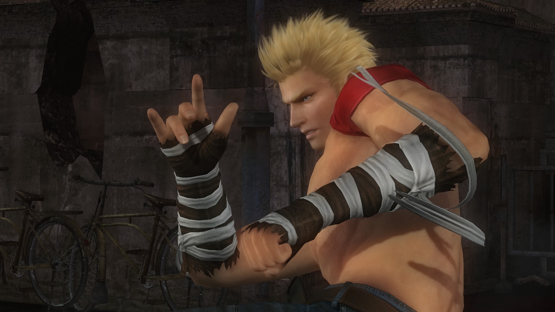 DEAD OR ALIVE 5 Last Round_20150303160958.jpg