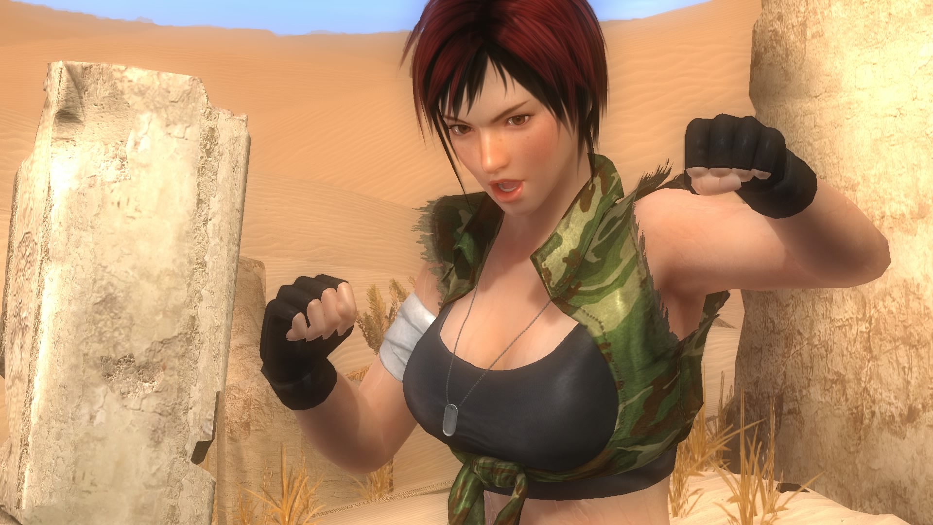 DEAD OR ALIVE 5 Last Round_20150303164310.jpg
