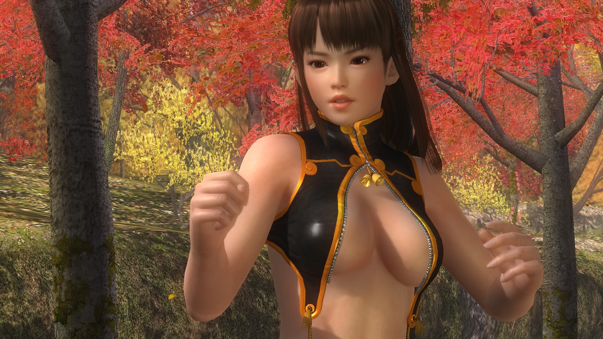 DEAD OR ALIVE 5 Last Round_20150303181843.jpg