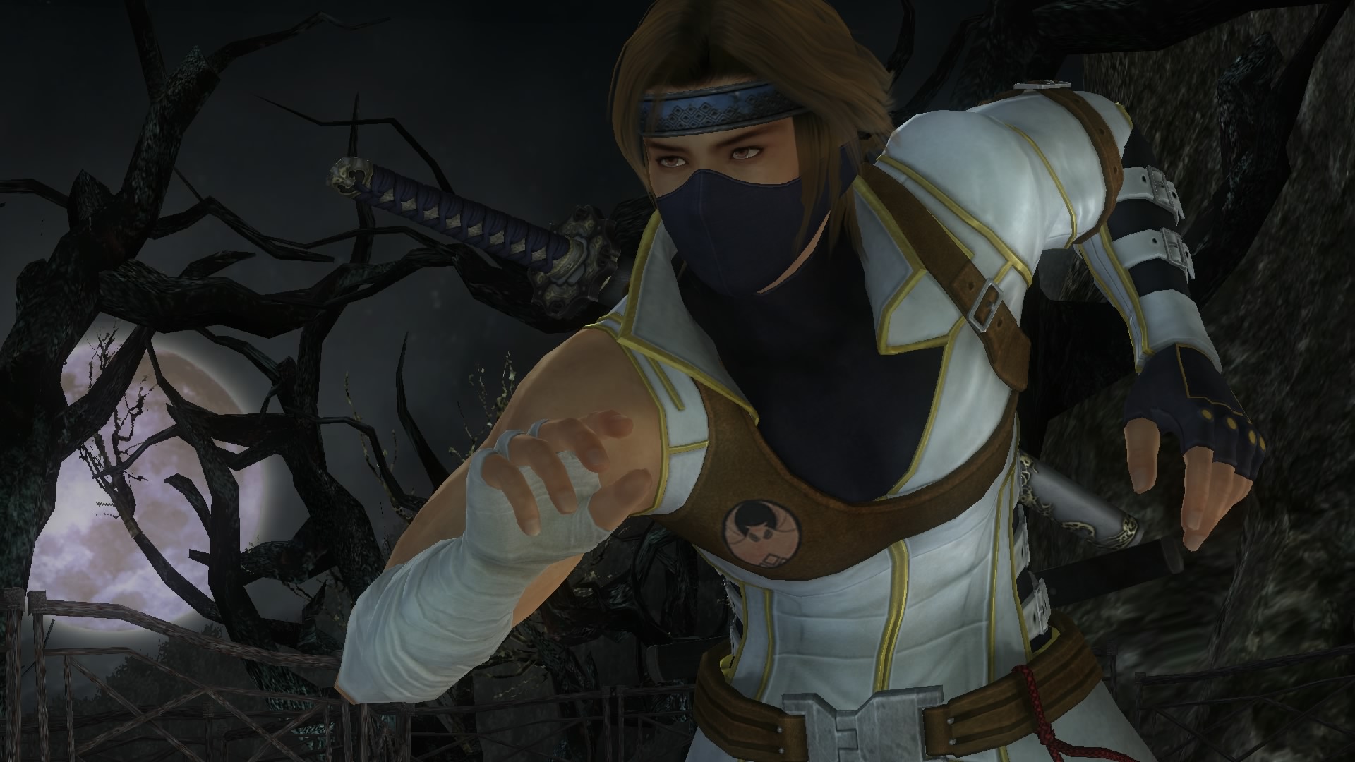 DEAD OR ALIVE 5 Last Round_20150303182651.jpg