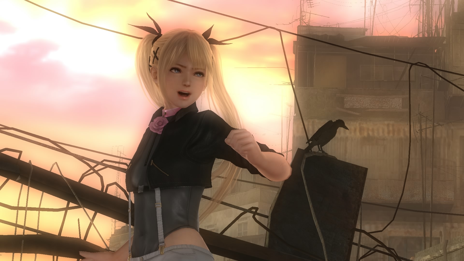 DEAD OR ALIVE 5 Last Round_20150303184003.jpg