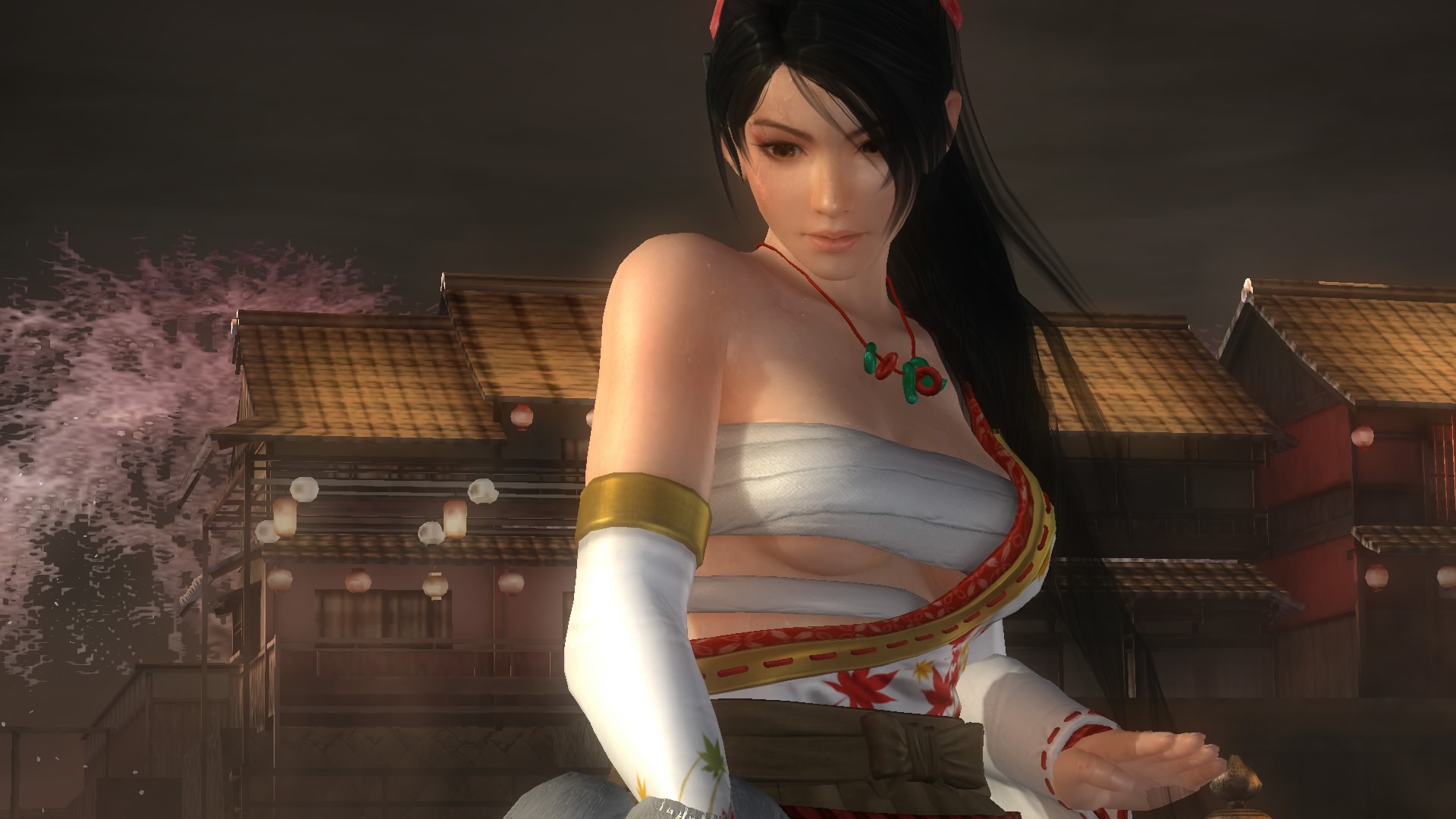 DEAD OR ALIVE 5 Last Round_20150303184527.jpg