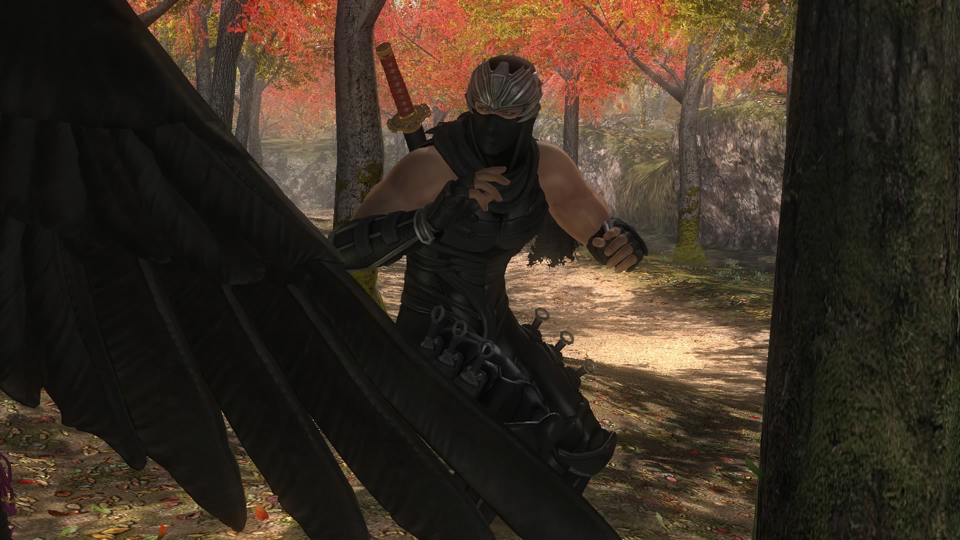 DEAD OR ALIVE 5 Last Round_20150304122057.jpg