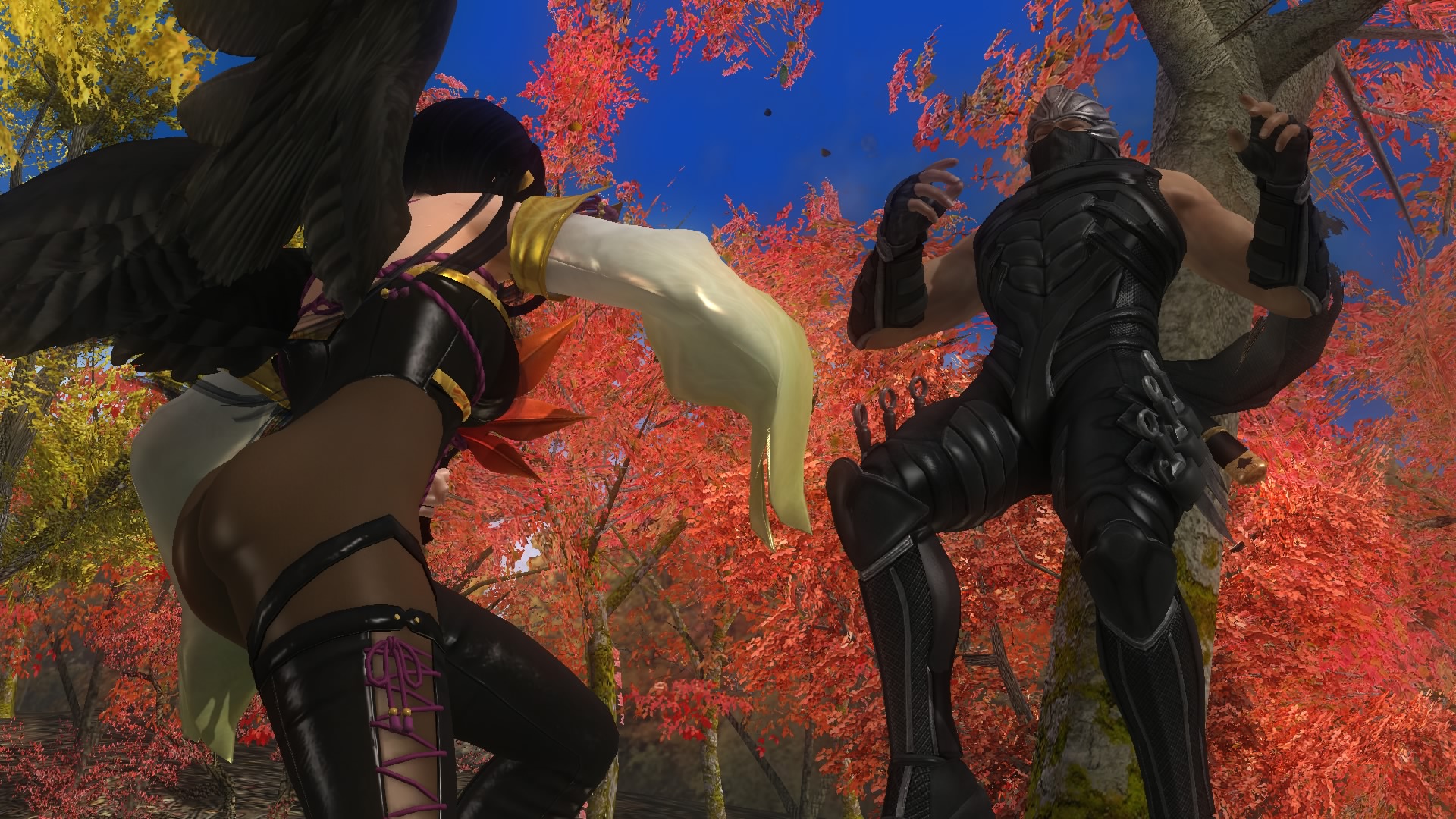 DEAD OR ALIVE 5 Last Round_20150305163518.jpg