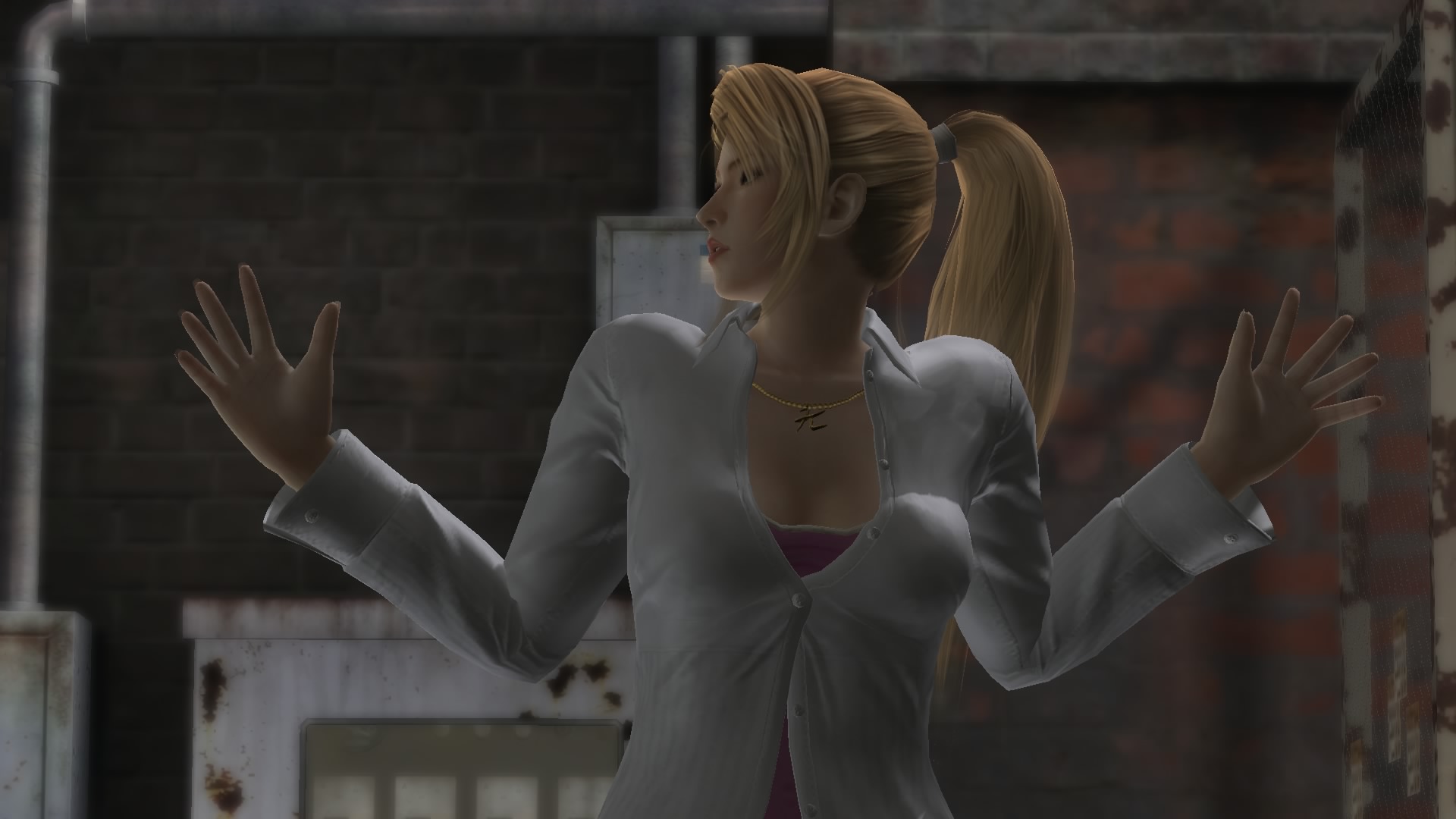 DEAD OR ALIVE 5 Last Round_20150315064231.jpg