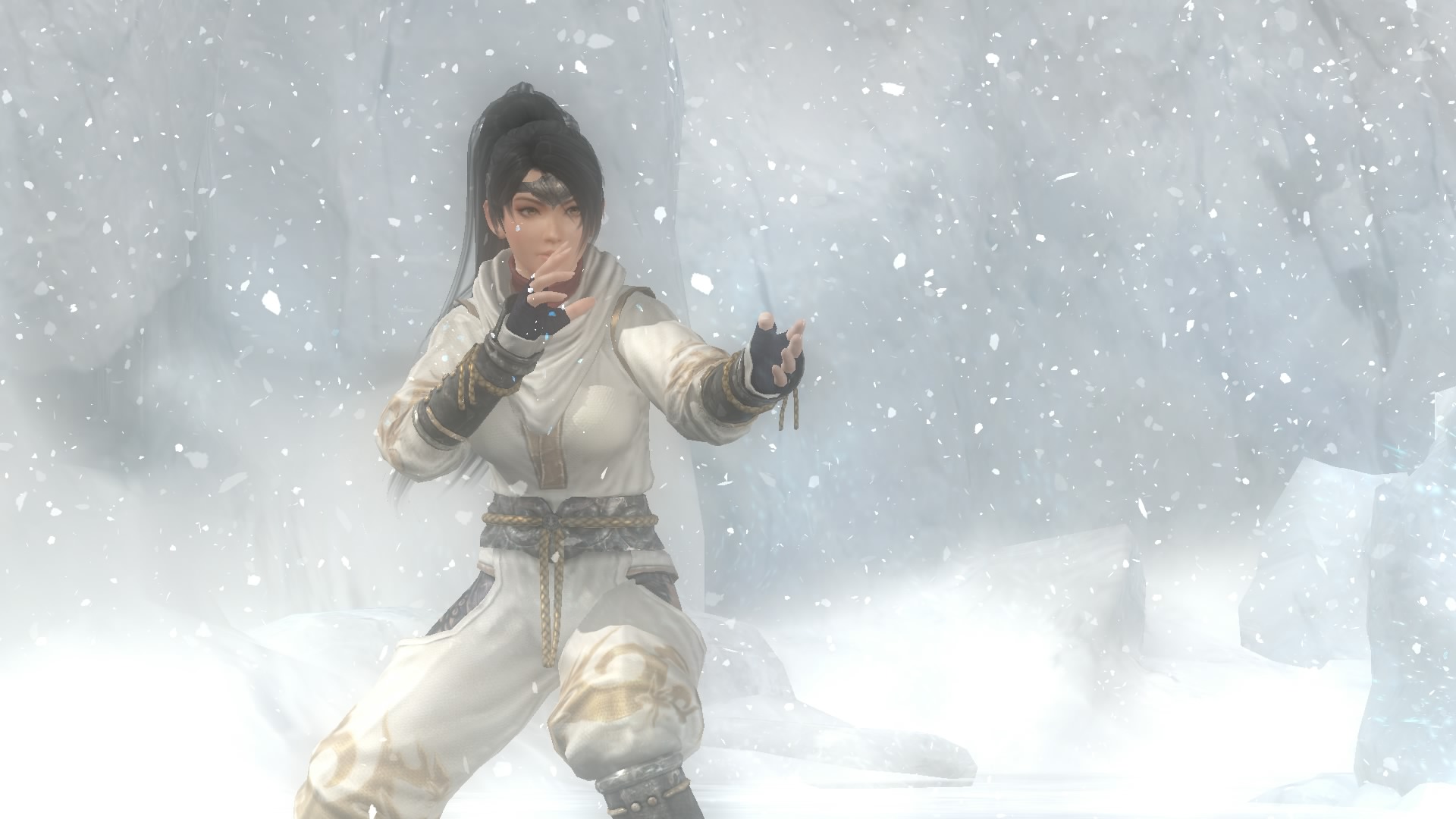 DEAD OR ALIVE 5 Last Round_20150325174208.jpg