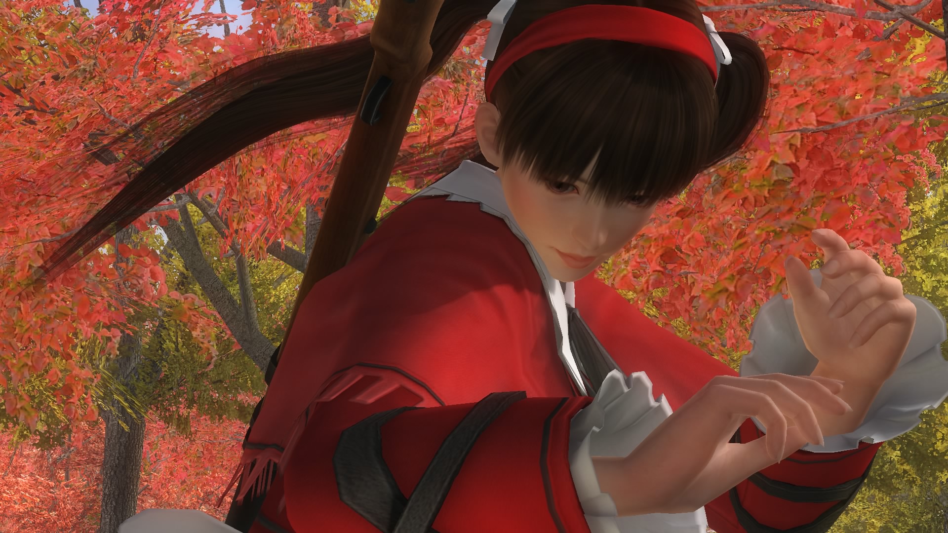 DEAD OR ALIVE 5 Last Round_20150326154722.jpg