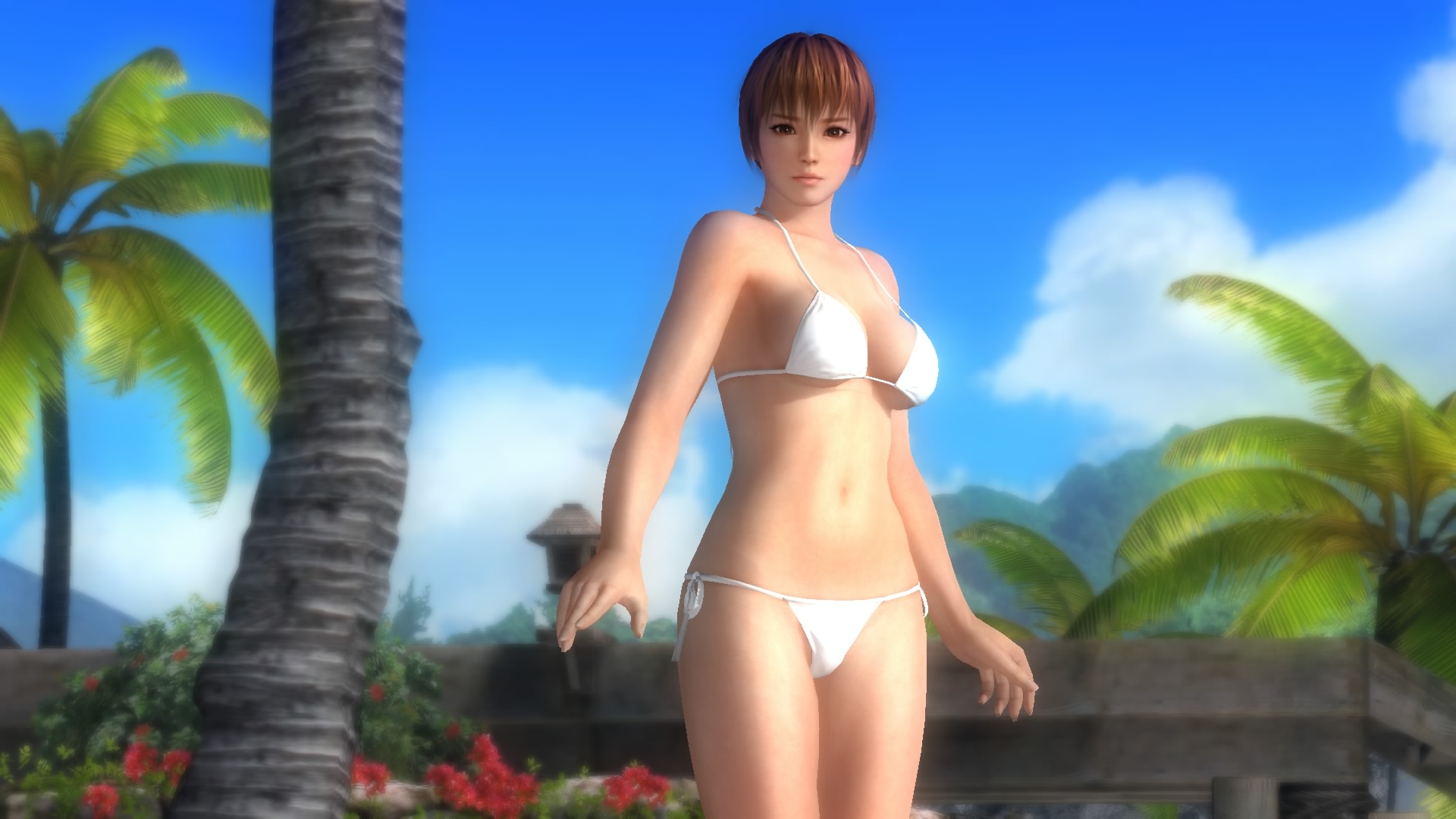 DEAD OR ALIVE 5 Last Round_20150329000725.jpg