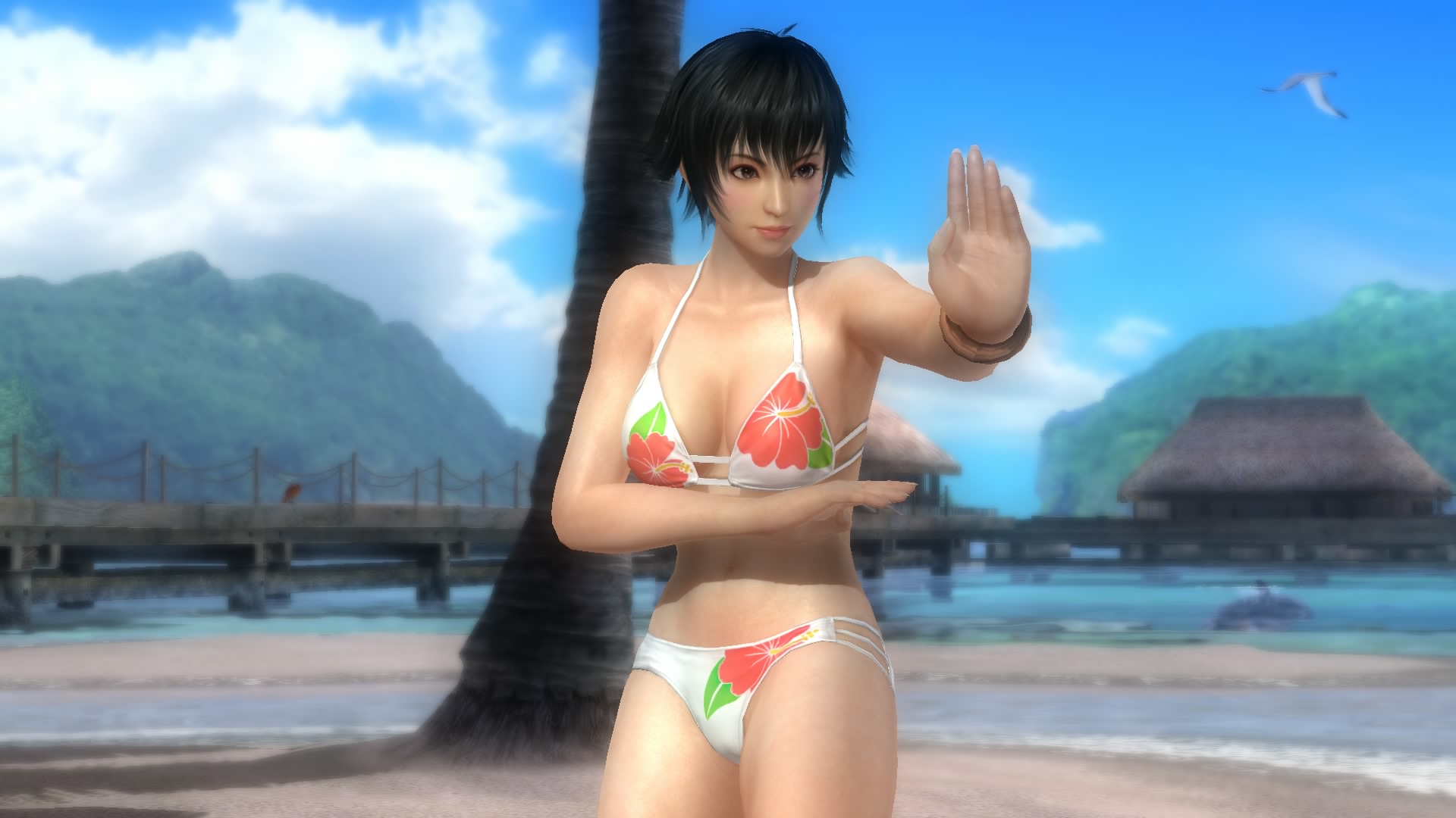 DEAD OR ALIVE 5 Last Round_20150329001234.jpg